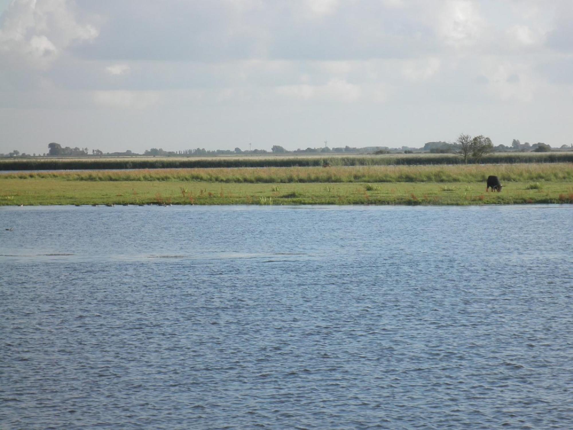 Leonie 6 Pers Holiday Home With A Large Garden Close To The Lauwersmeer Anjum Экстерьер фото